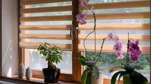 . A window with blinds and a plant on the sill, exemplifying contemporary interior design in Delhi